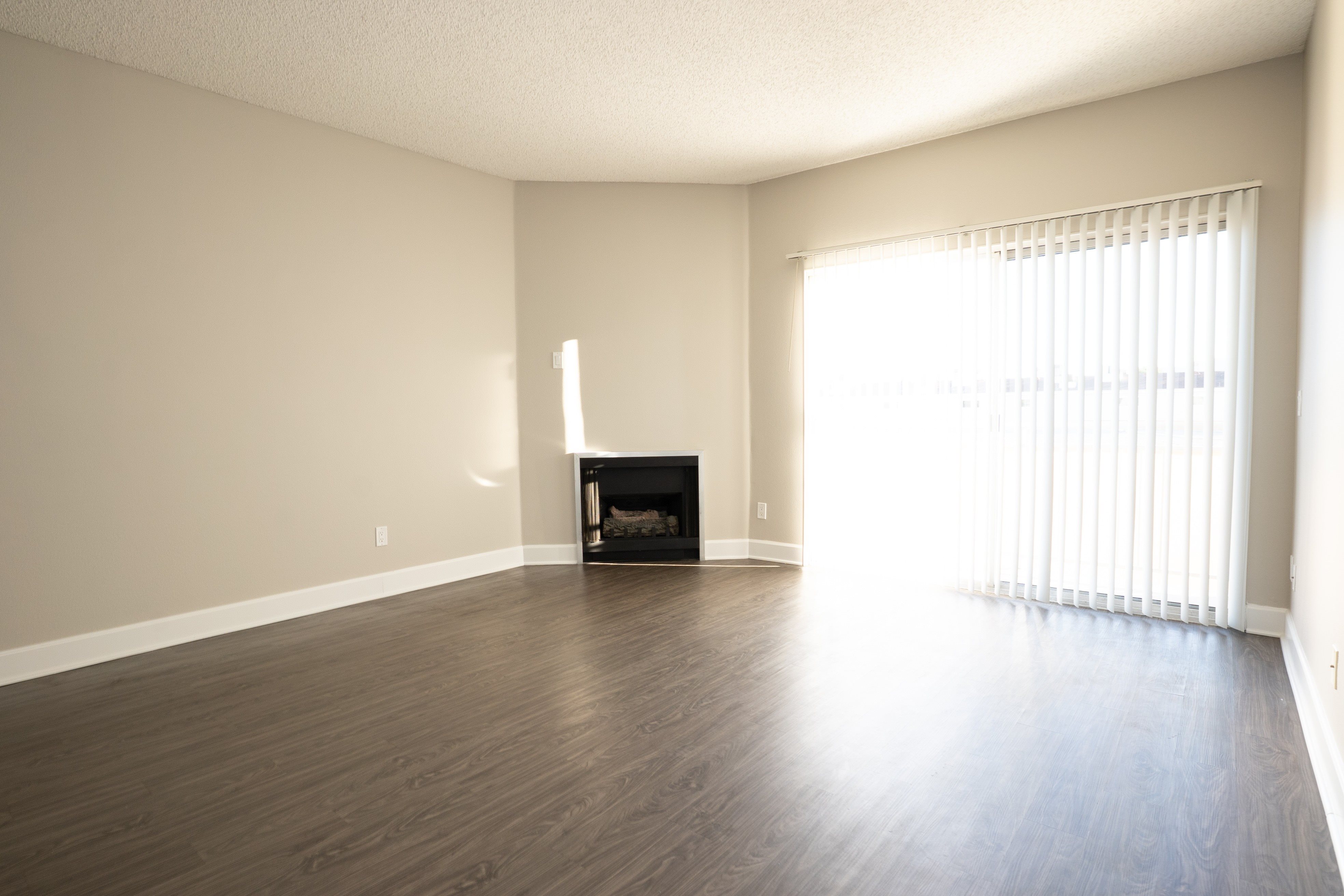 Gallery Photo 10